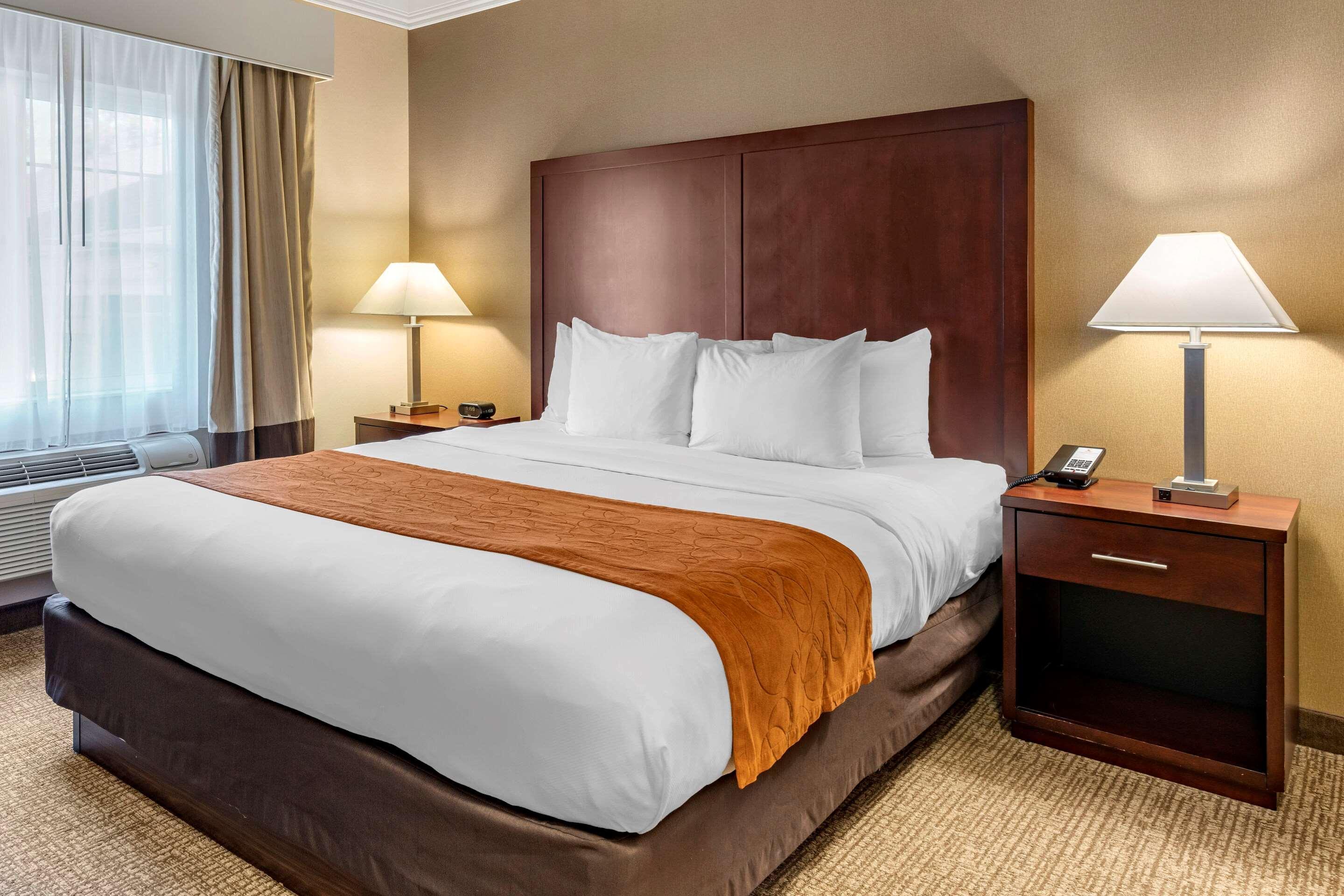 Comfort Suites Linn County Fairground And Expo Albany Extérieur photo