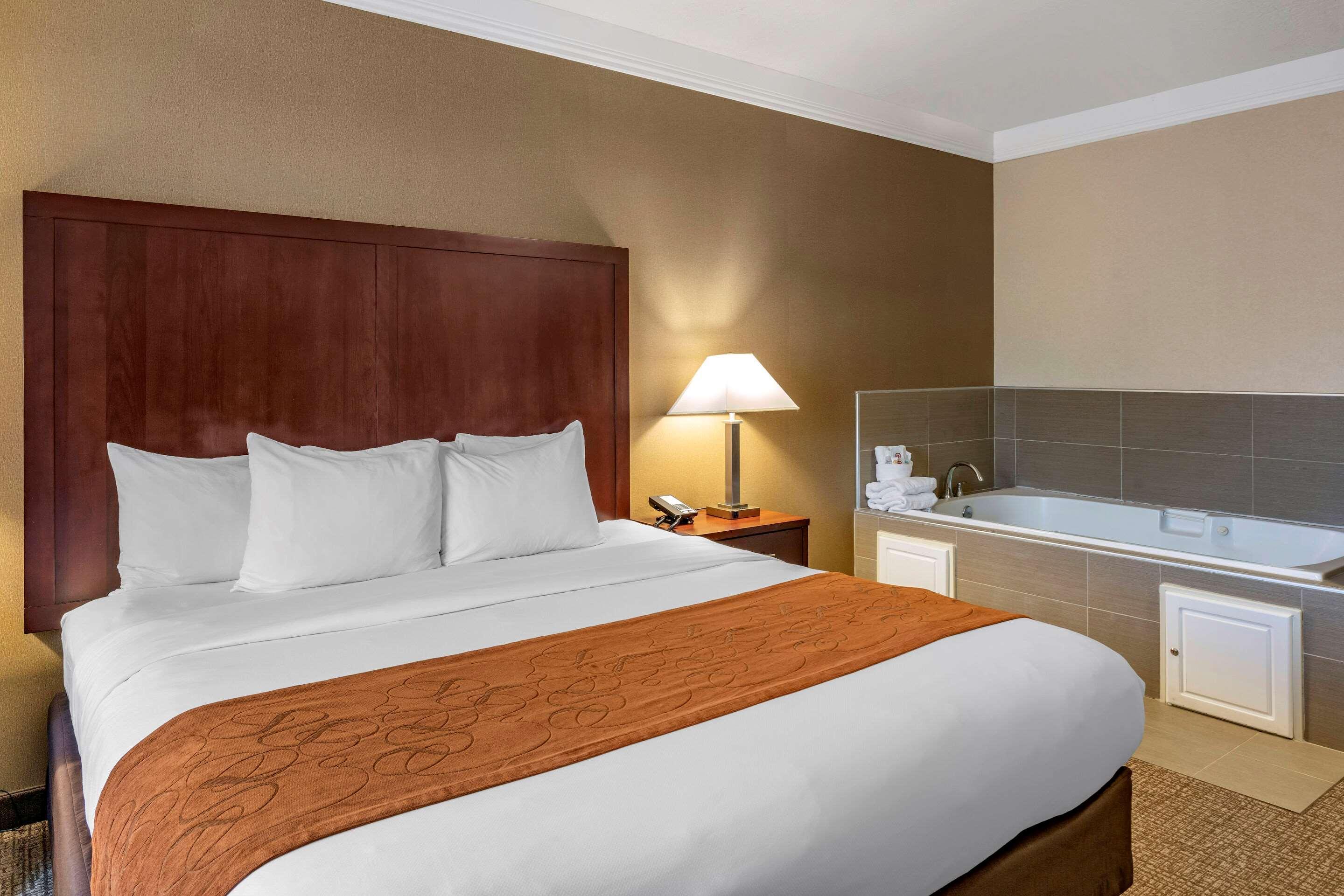 Comfort Suites Linn County Fairground And Expo Albany Extérieur photo
