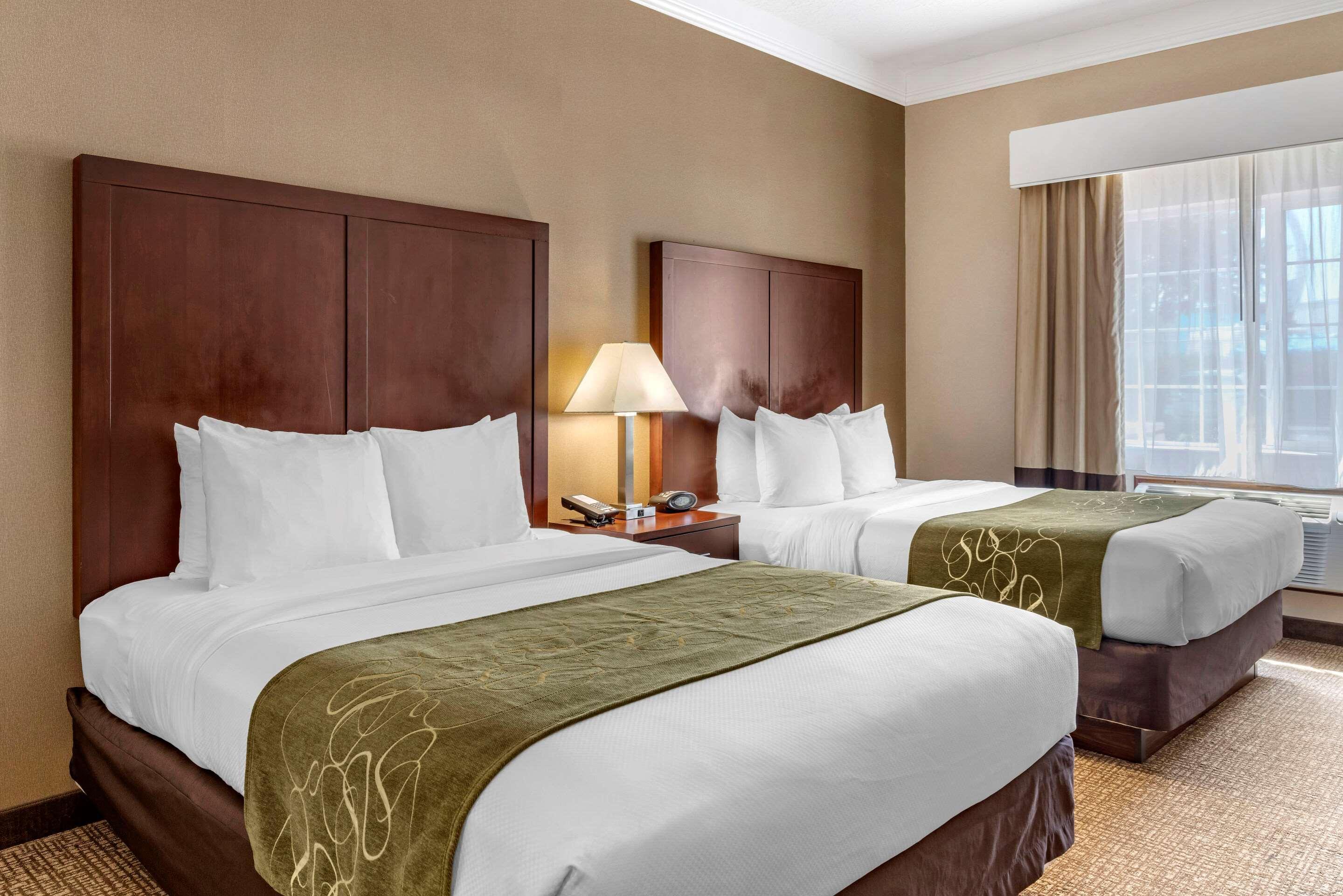 Comfort Suites Linn County Fairground And Expo Albany Extérieur photo