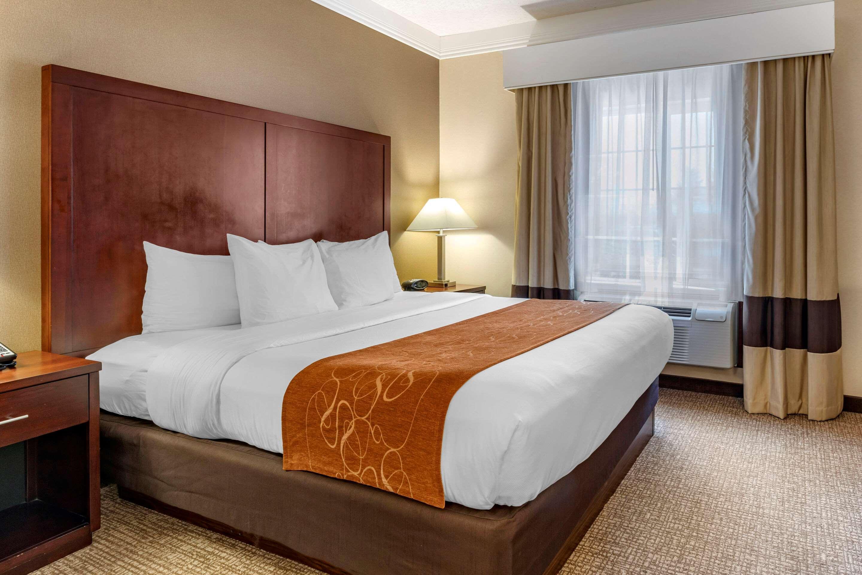 Comfort Suites Linn County Fairground And Expo Albany Extérieur photo