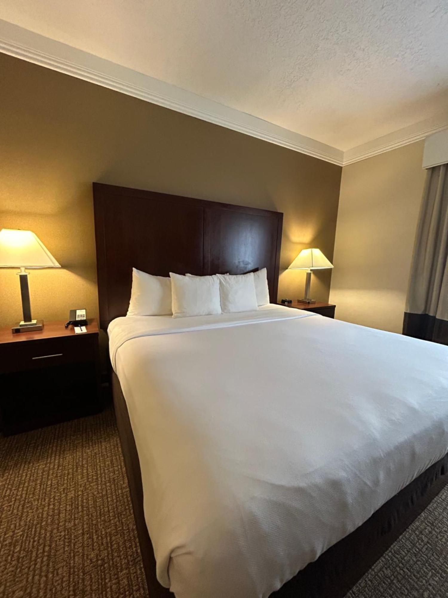 Comfort Suites Linn County Fairground And Expo Albany Extérieur photo